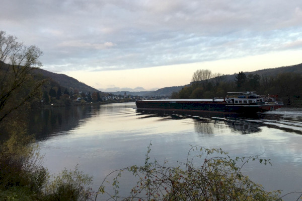 Radtour Mosel 2019 Untermosel bei Lay