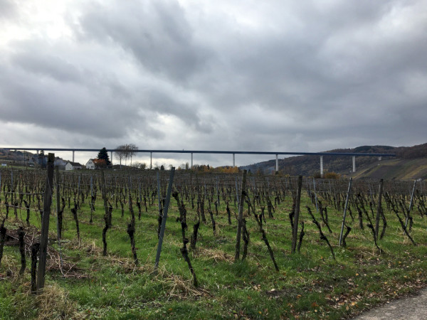 Herbstliche Radtour entlang der Mosel