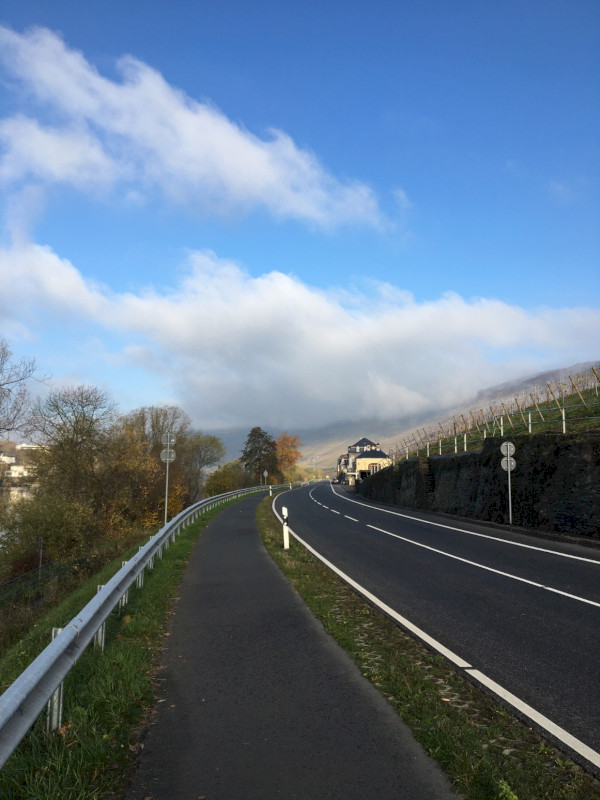 Moseltour mit dem Rad 2019