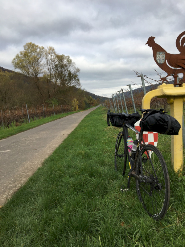 Herbstliche Radtour an der Mosel
