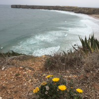 Radurlaub in Portugal 2019