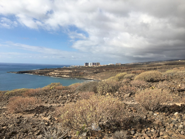 Trainingslager Teneriffa Anreise Tag 1