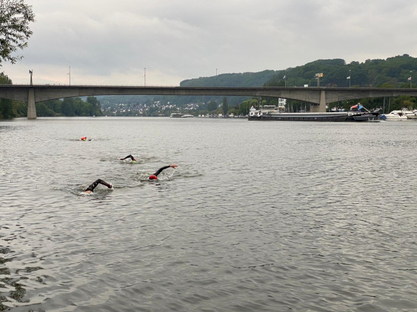 Freiwasserschwimmen in der Mosel bei Koblenz