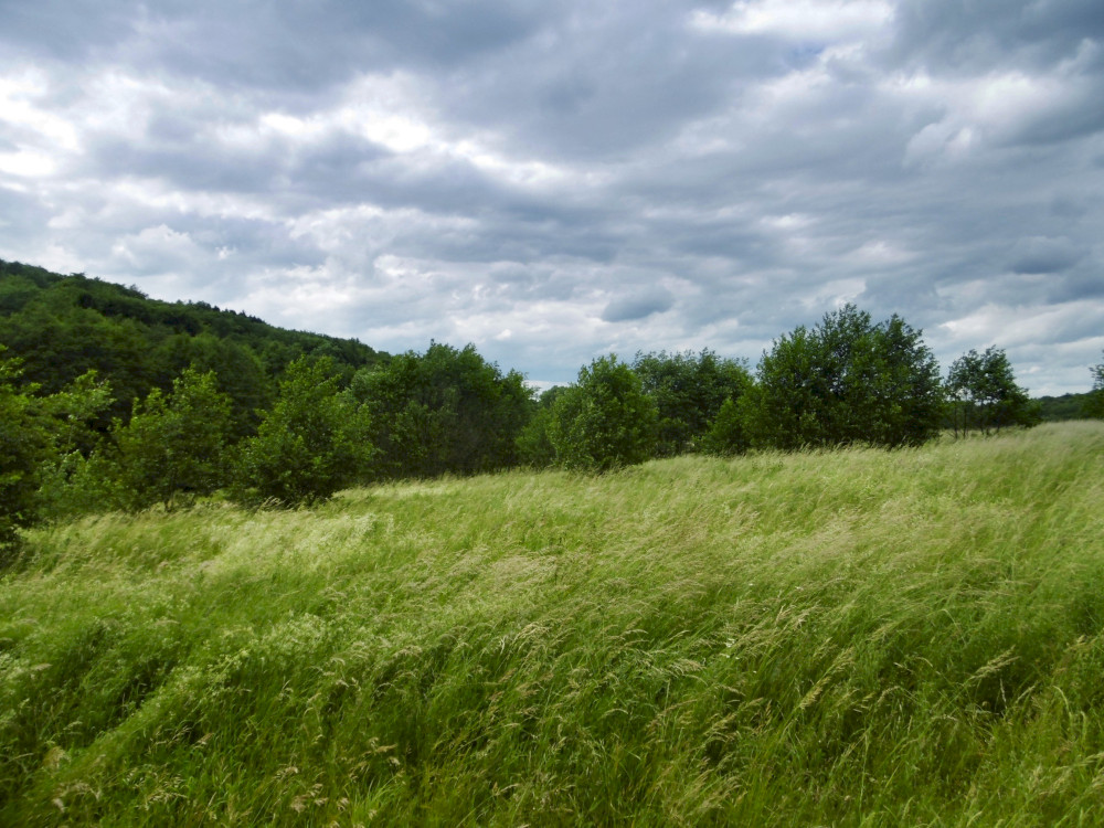 Durch Westerwald, Taunus, Hunsrück und Eifel