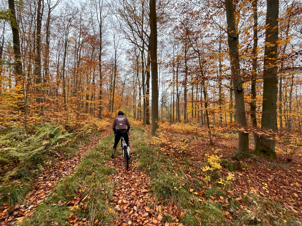 Natural Sportshub Koblenz