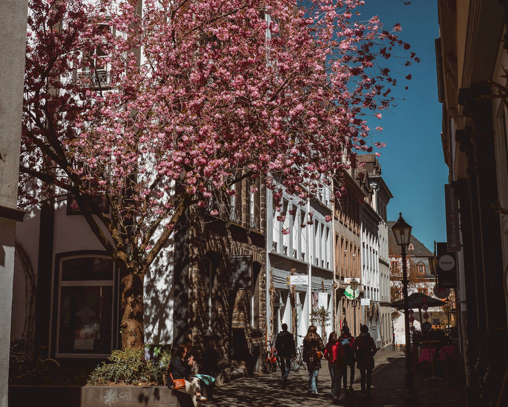 Natural Sportshub Koblenz